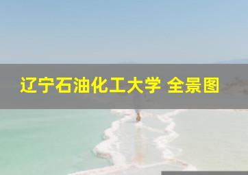 辽宁石油化工大学 全景图